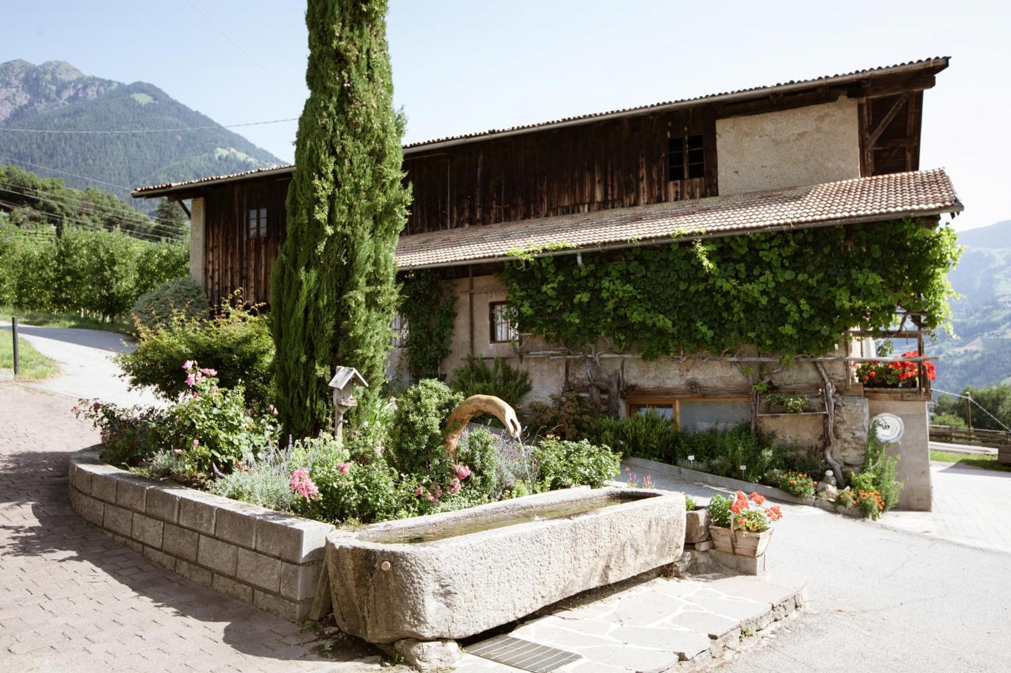 Noessinghof Bed and Breakfast Tirolo Eksteriør billede